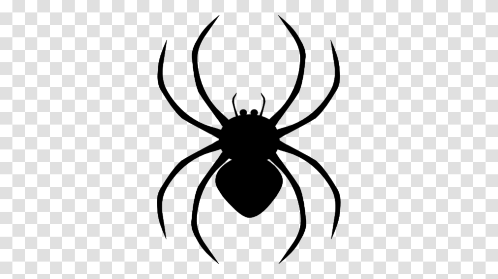 Free Spider Web Clipart, Gray, World Of Warcraft Transparent Png