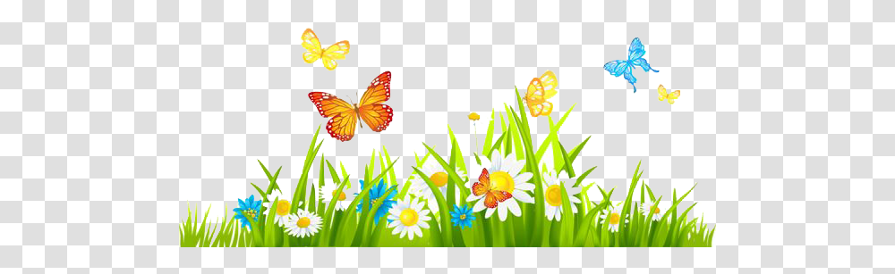 Free Spring Images Flowers With Butterfly Clipart, Plant, Anther, Blossom, Daisy Transparent Png