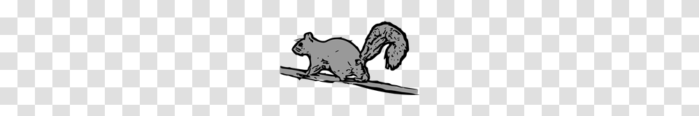 Free Squirrel Clipart Squ Rrel Icons, Wildlife, Animal, Aardvark, Mammal Transparent Png