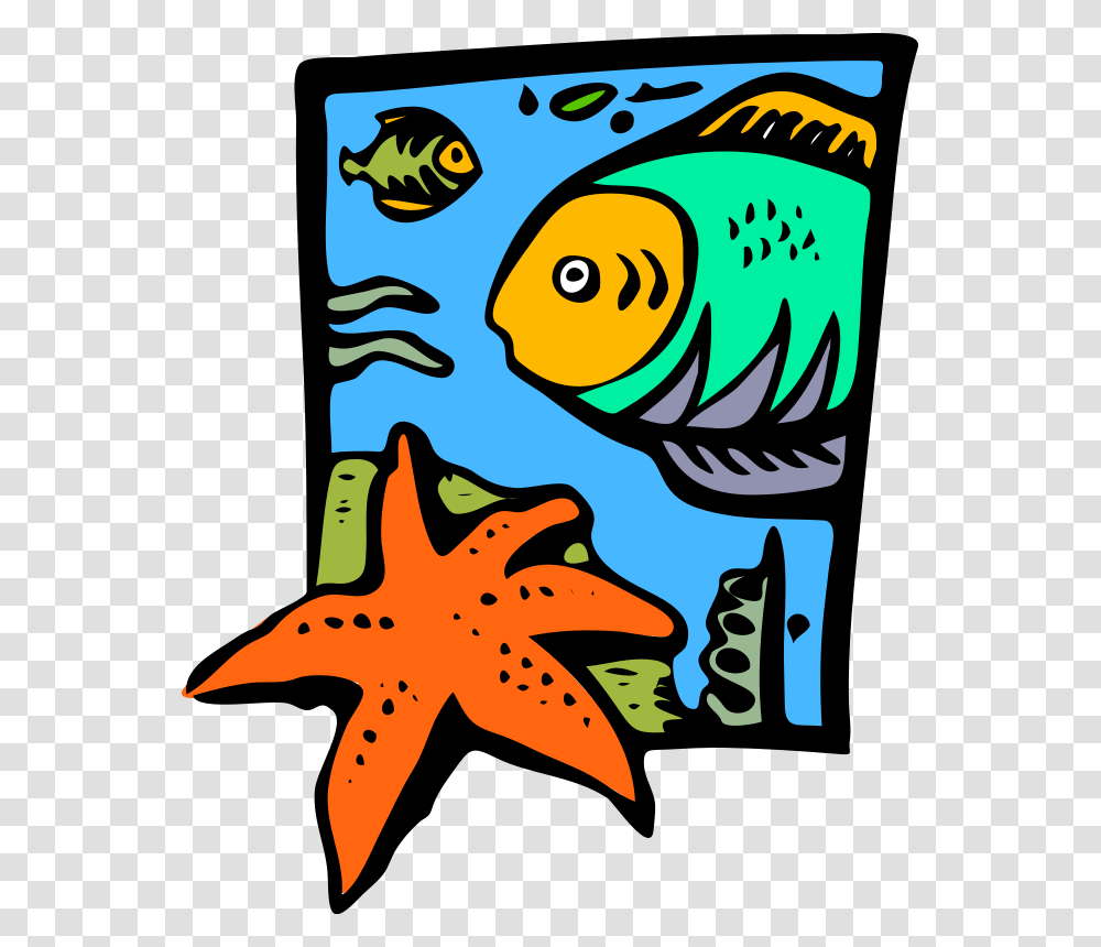 Free Starfish Clipart, Animal, Sea Life, Invertebrate Transparent Png