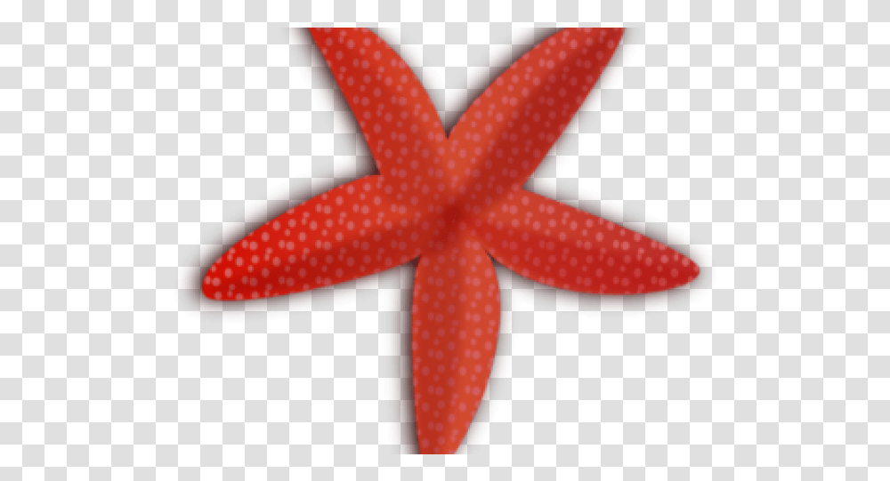Free Starfish Clipart Etoile De Mer Svg, Star Symbol Transparent Png