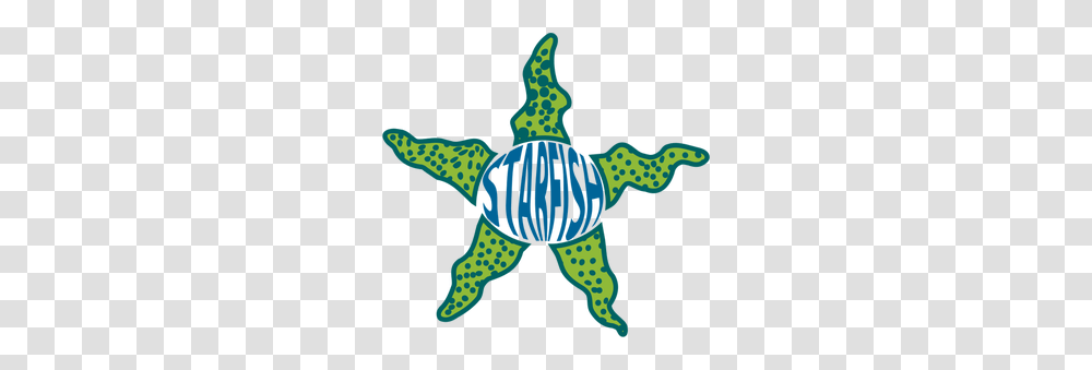 Free Starfish Clipart Images, Tortoise, Turtle, Reptile, Sea Life Transparent Png