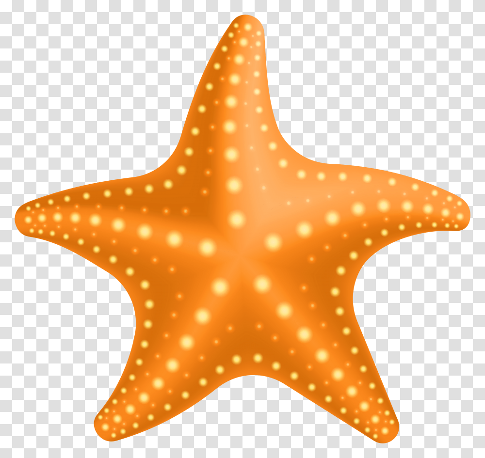 Free Starfish Cliparts Download Background Starfish Clip Art Transparent Png