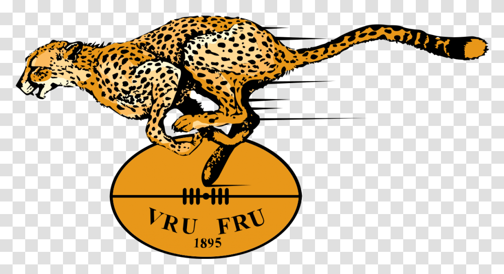 Free State Cheetahs Free State Cheetahs Logo, Wildlife, Mammal, Animal, Panther Transparent Png