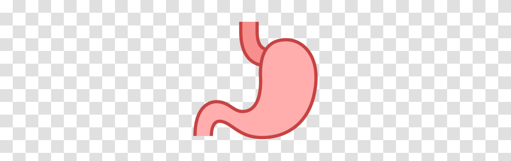 Free Stomach Icon Download, Axe, Tool Transparent Png