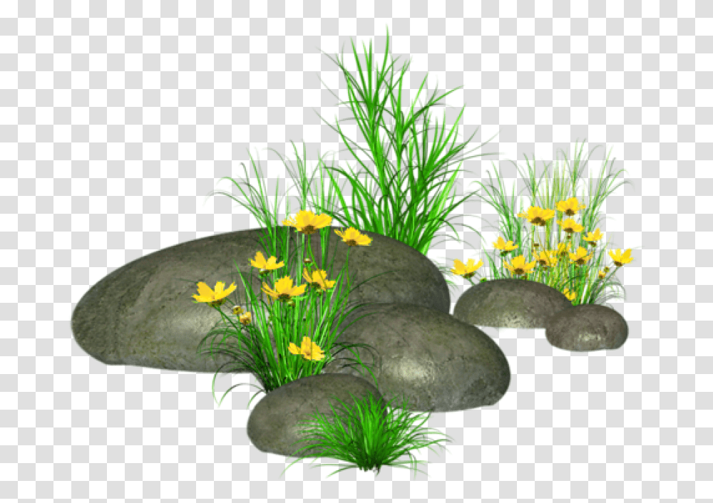 Free Stones With Grass And Yellow Flowers Images Grass Stone, Water, Aquatic, Sea Life, Animal Transparent Png