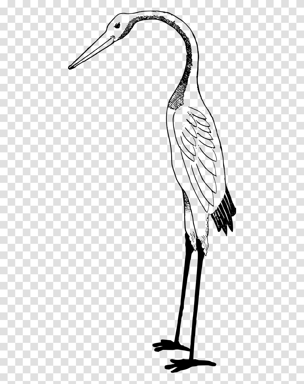 Free Stork Art, Gray, World Of Warcraft Transparent Png