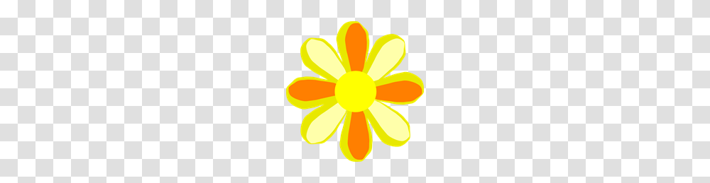 Free Sum Clipart Sum Icons, Plant, Flower, Blossom, Daisy Transparent Png