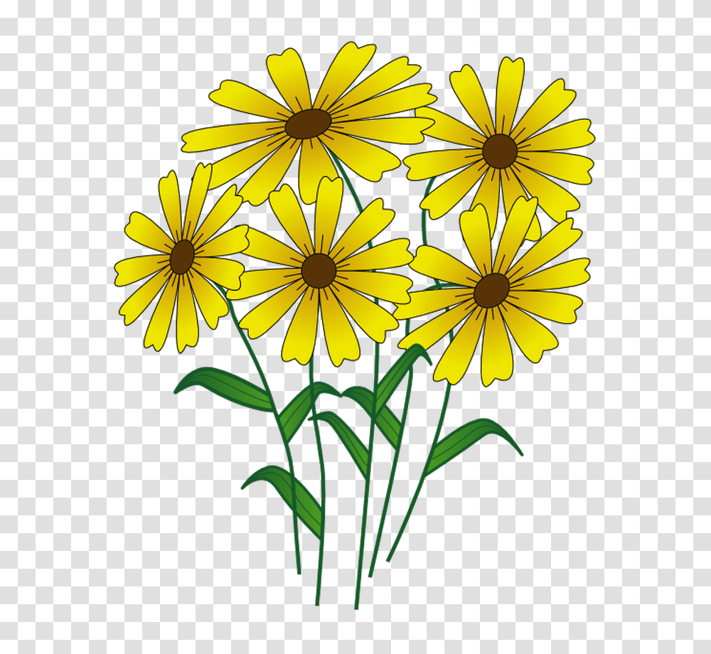 Free Summer Clip Art Images In I Love Summer, Plant, Flower, Blossom, Daisy Transparent Png