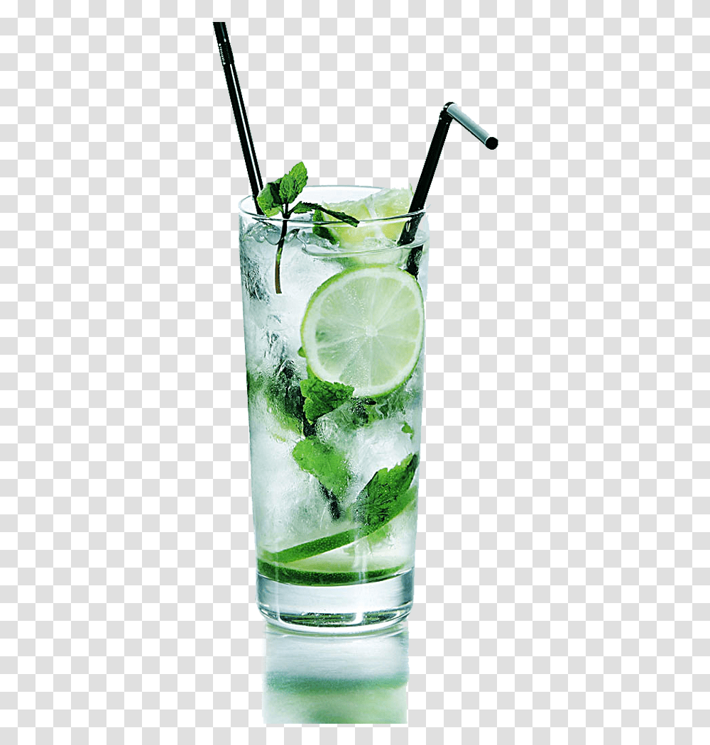 Free Summer Drinks Image Mojito, Cocktail, Alcohol, Beverage, Plant Transparent Png