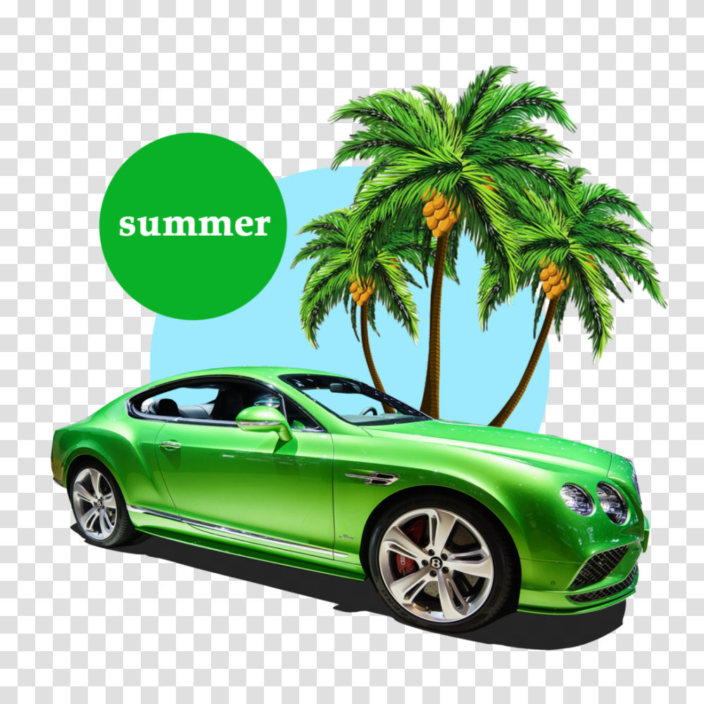 Free Summer Palm Tree, Car, Vehicle, Transportation, Sports Car Transparent Png