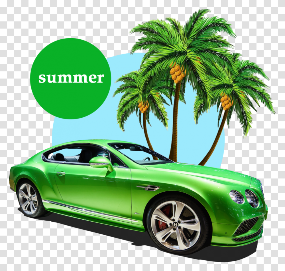 Free Summer Palm Tree Cartoon Palm Trees, Vehicle, Transportation, Sports Car, Coupe Transparent Png