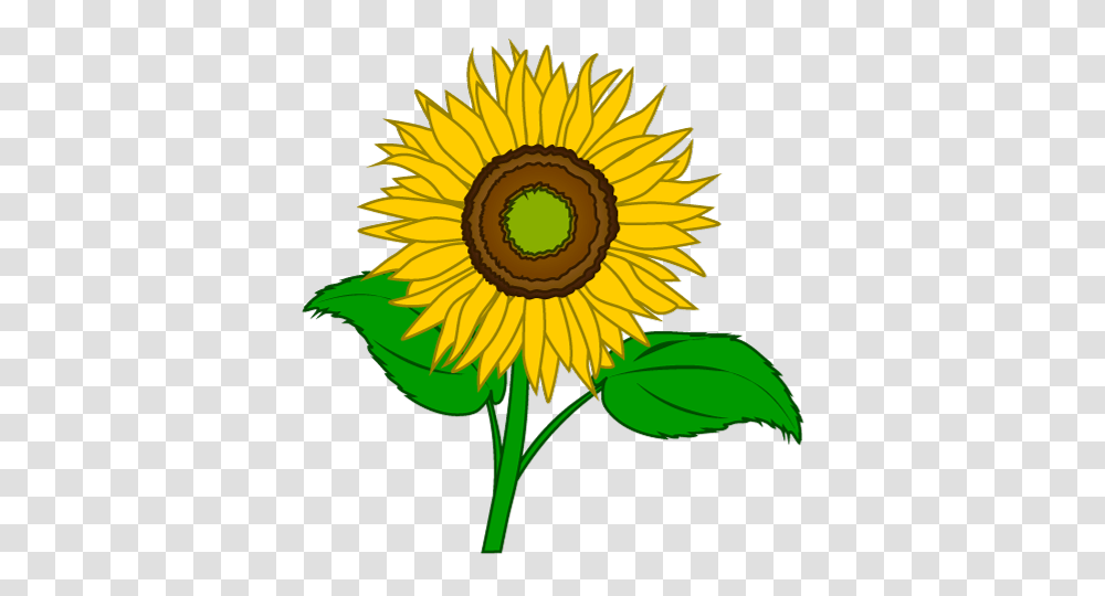 Free Sunflower Cartoon Clipart Graphics, Plant, Blossom Transparent Png