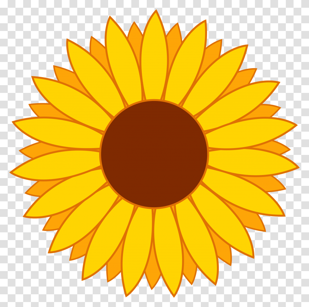 Free Sunflower Clip Art, Plant, Blossom Transparent Png