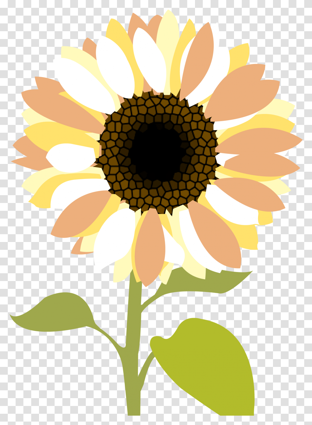 Free Sunflower Clipart Background Download Clip Art, Plant, Blossom, Daisy, Daisies Transparent Png