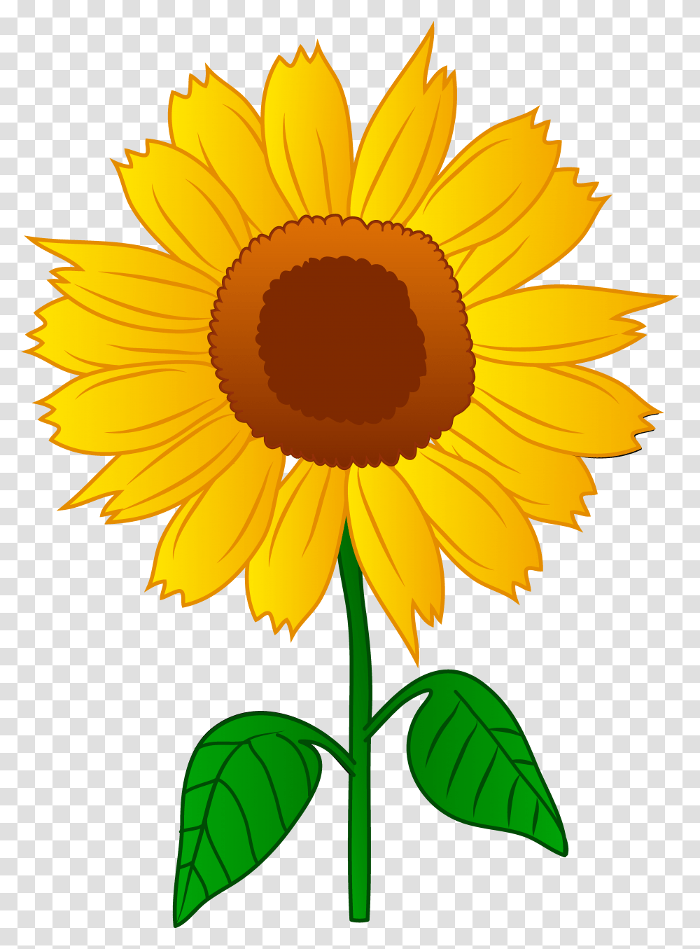 Free Sunflower Clipart Clipart Image Of Sunflower, Plant, Blossom, Banana, Fruit Transparent Png
