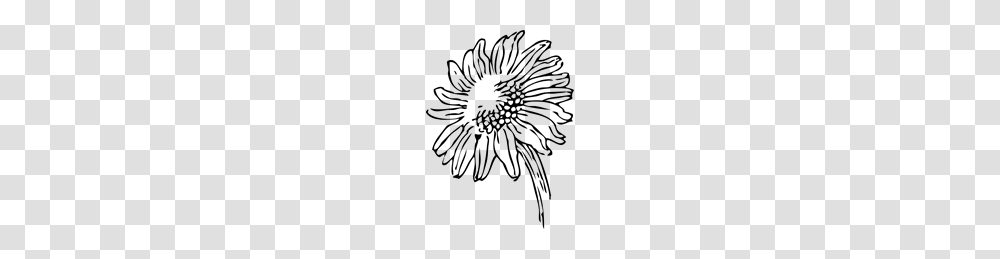 Free Sunflower Clipart Sunflower Icons, Gray, World Of Warcraft Transparent Png