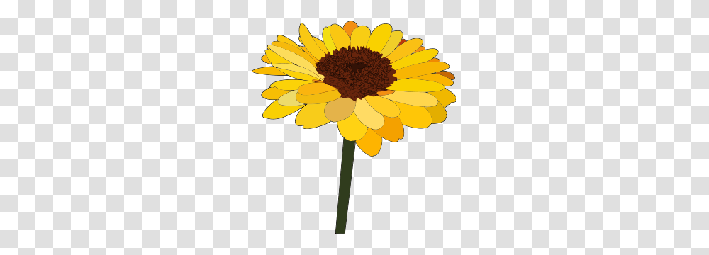 Free Sunflower Clipart Sunflower Icons, Plant, Blossom, Daisy, Daisies Transparent Png