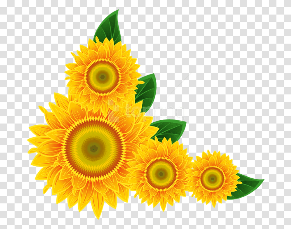 Free Sunflower Corner Decoration Clipart Sunflower Corner Border Clipart, Floral Design, Pattern Transparent Png