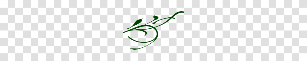 Free Swirls Clipart Green Clip Art Swirls Clipart Download, Plant, Handwriting, Jar Transparent Png