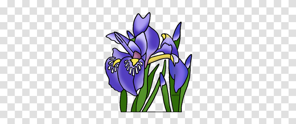 Free Tennessee Clip Art, Plant, Flower, Blossom, Iris Transparent Png