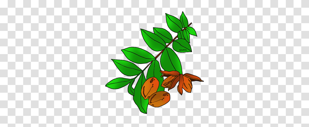 Free Texas Clip Art, Leaf, Plant, Floral Design Transparent Png