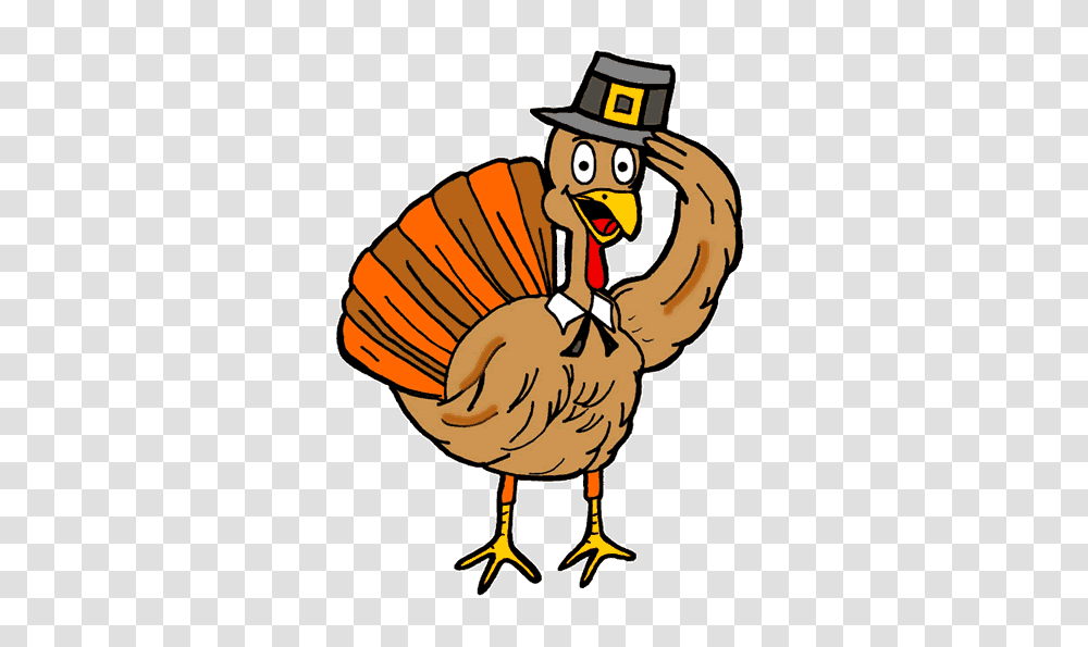 Free Thanksgiving Clip Art, Bird, Animal, Turkey Bird, Poultry Transparent Png