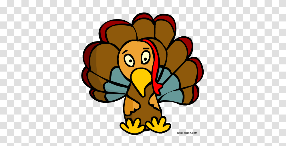 Free Thanksgiving Pilgrims And Native Americans Clip Art, Animal, Bird, Vulture, Pelican Transparent Png