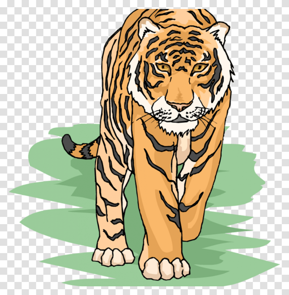 Free Tiger Clipart Cool Tiger Clipart, Wildlife, Mammal, Animal Transparent Png
