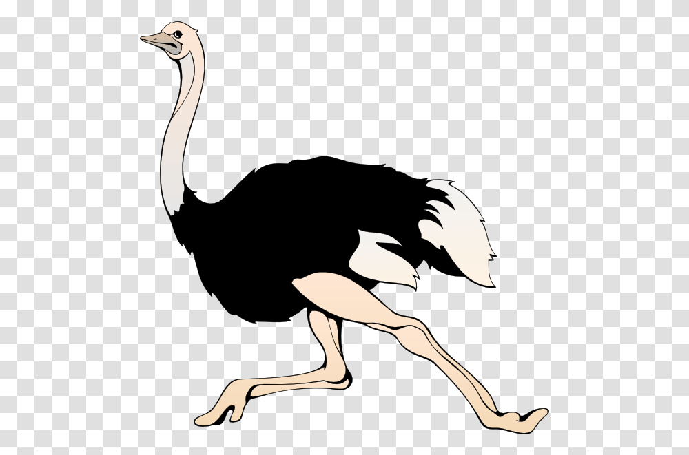 Free To Share Running Clipart Clipartmonk Free Clip Ostrich Clipart, Animal, Bird Transparent Png