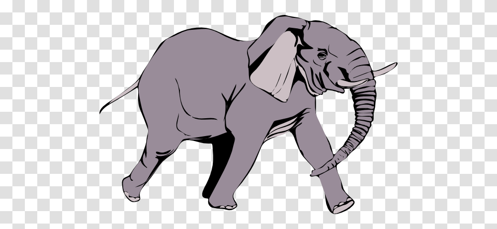 Free To Use, Elephant, Wildlife, Mammal, Animal Transparent Png