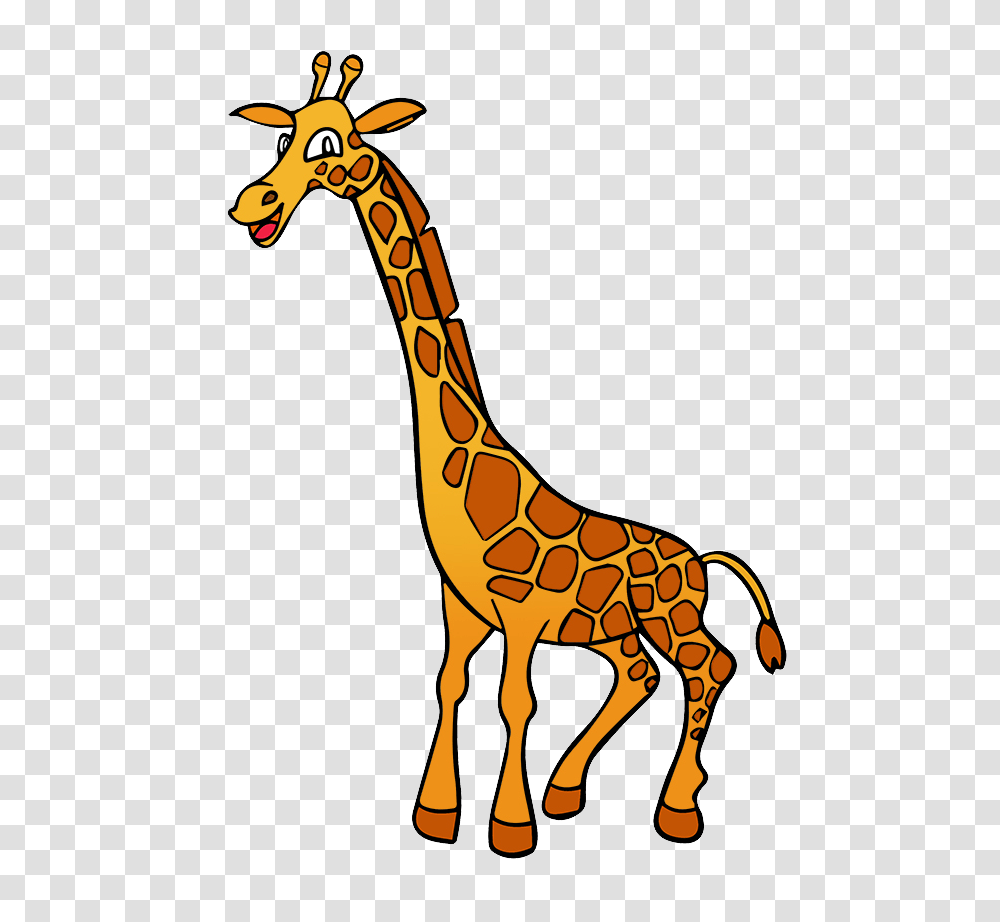 Free To Use, Giraffe, Wildlife, Mammal, Animal Transparent Png