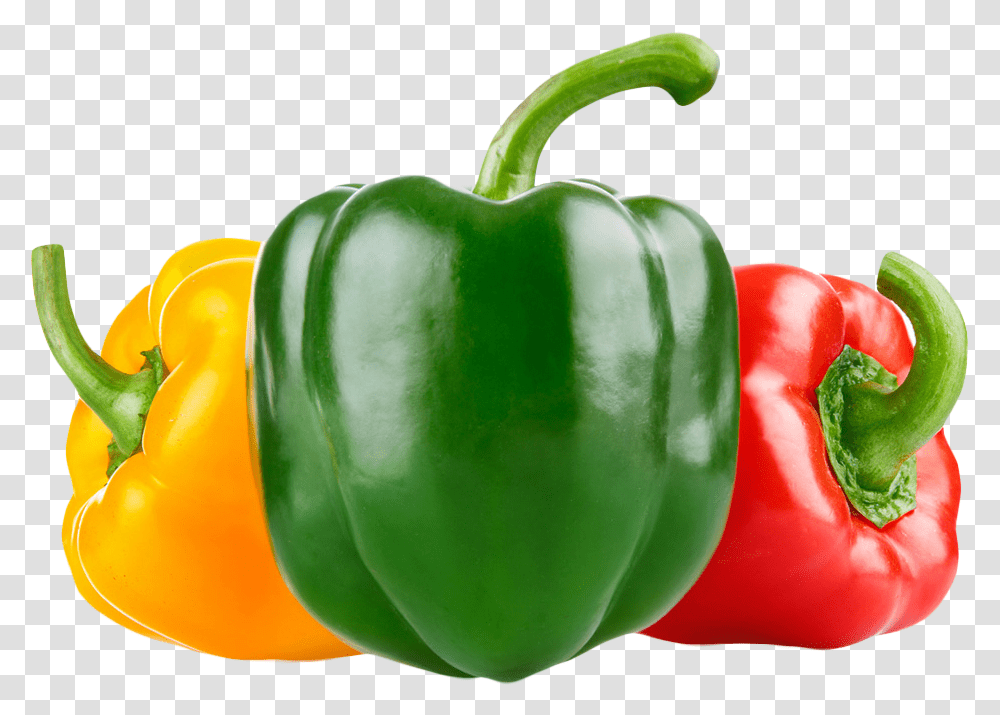 Free To Use Green Pepper Transparents Bell Pepper, Plant, Vegetable, Food Transparent Png