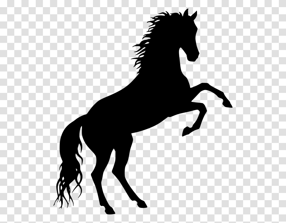 Free To Use Horse Silhouette, Gray, World Of Warcraft Transparent Png