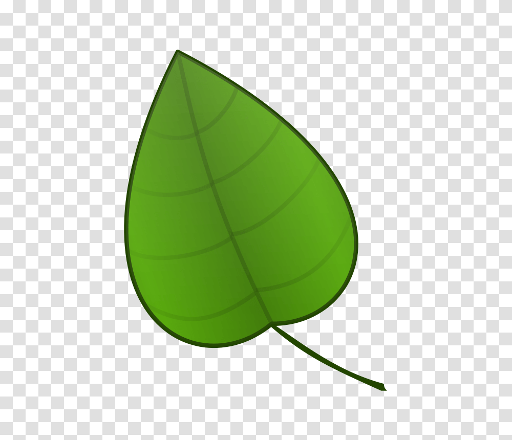 Free To Use, Leaf, Plant, Veins, Droplet Transparent Png