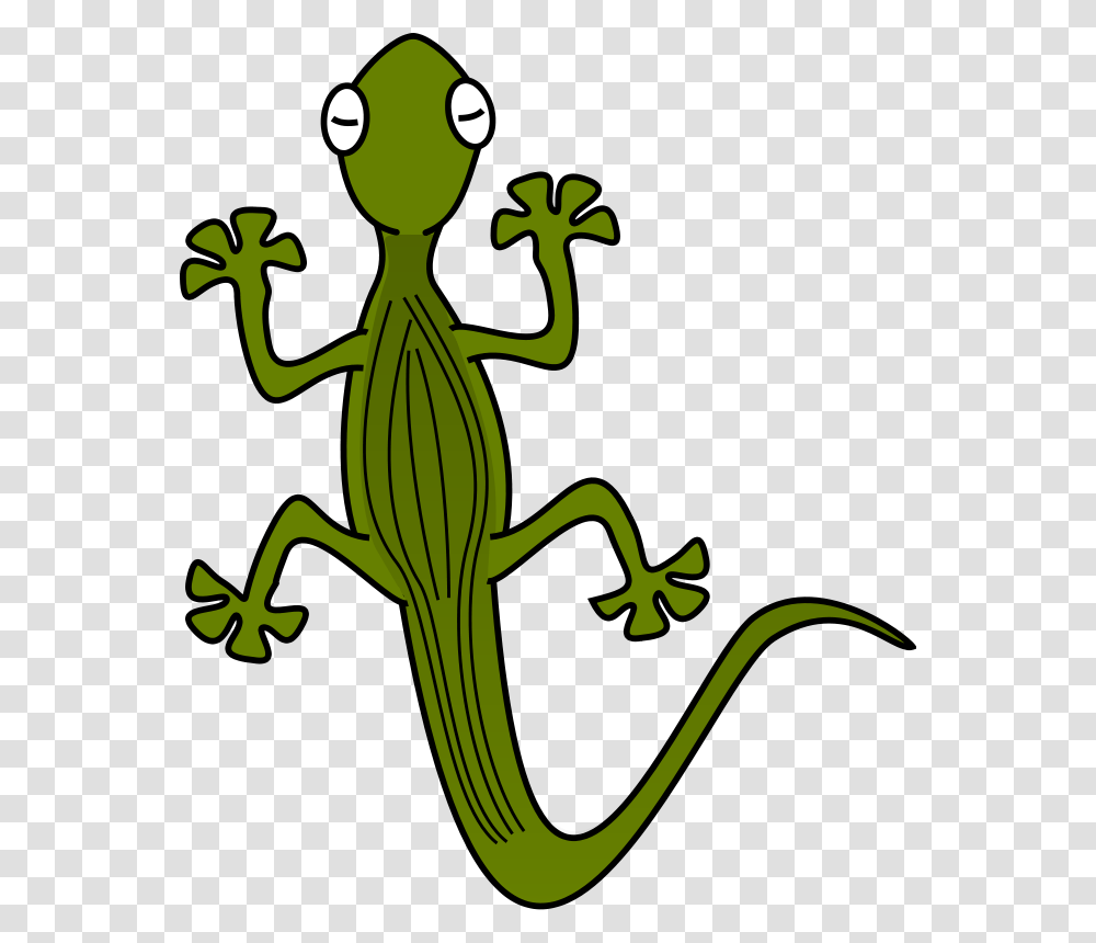 Free To Use, Lizard, Reptile, Animal, Gecko Transparent Png