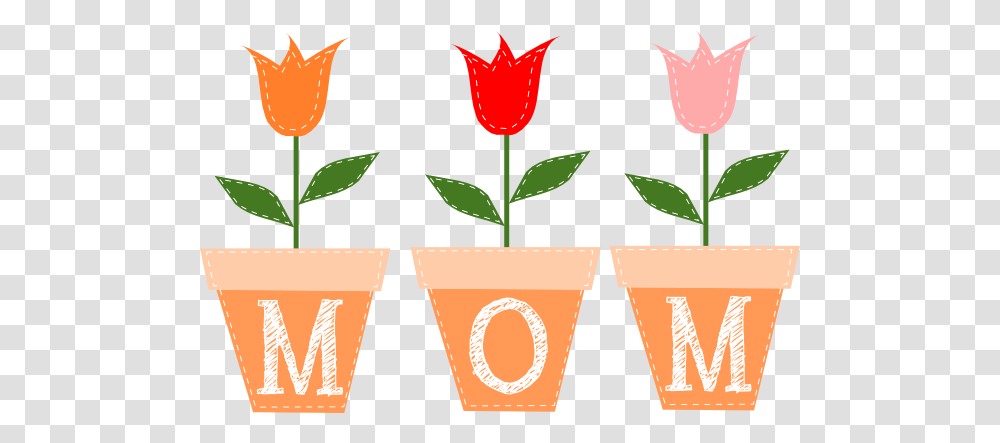 Free To Use, Plant, Flower, Blossom, Beverage Transparent Png