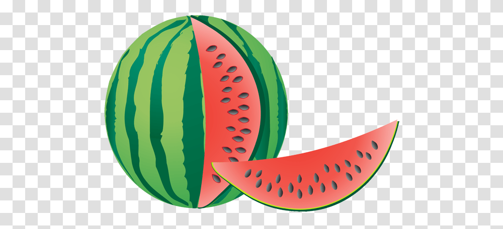 Free To Use, Plant, Fruit, Food, Watermelon Transparent Png