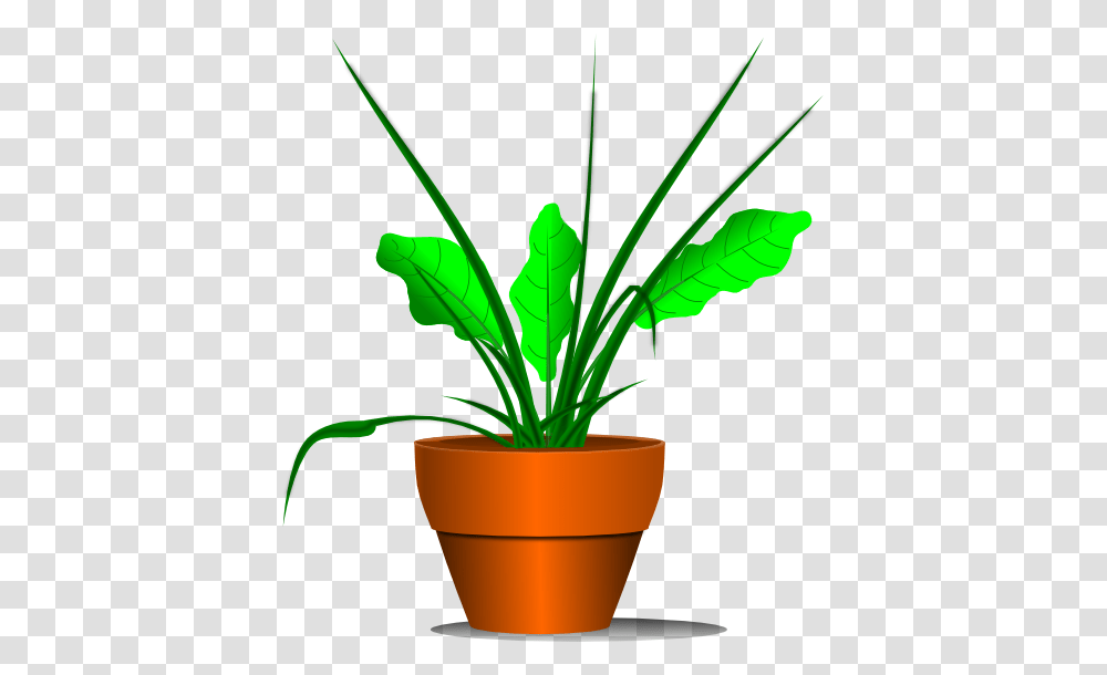 Free To Use, Plant, Leaf, Tree, Palm Tree Transparent Png