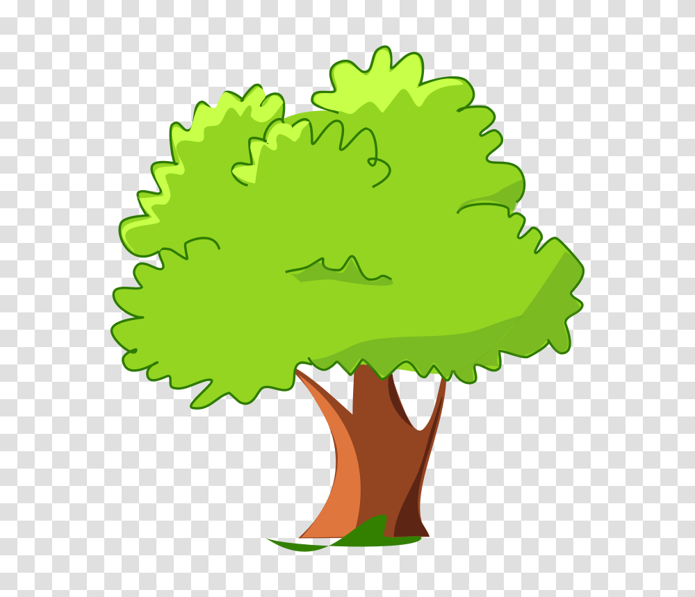 Free To Use, Plant, Tree, Leaf, Vegetation Transparent Png