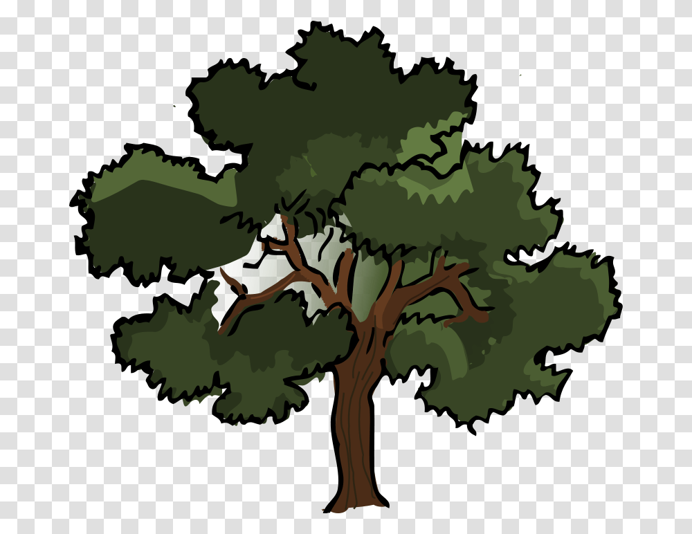 Free To Use, Plant, Tree, Vegetation, Nature Transparent Png