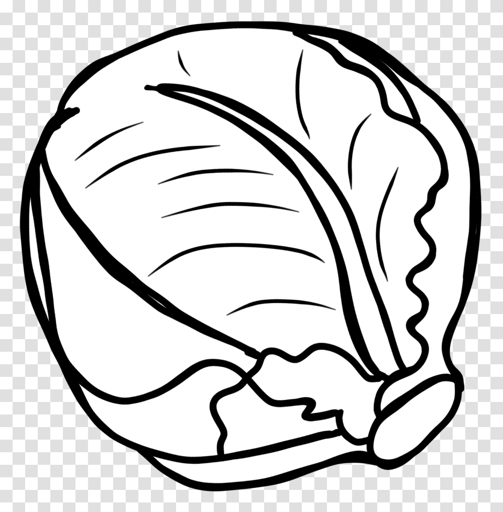 Free To Use, Plant, Vegetable, Food, Cabbage Transparent Png