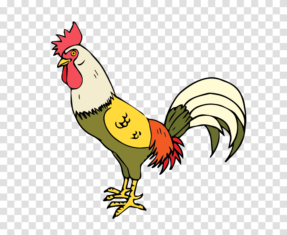 Free To Use, Poultry, Fowl, Bird, Animal Transparent Png