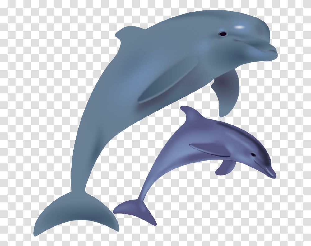 Free To Use Public Domain Dolphin Clip Art Dolphin Clipart, Mammal, Sea Life, Animal Transparent Png