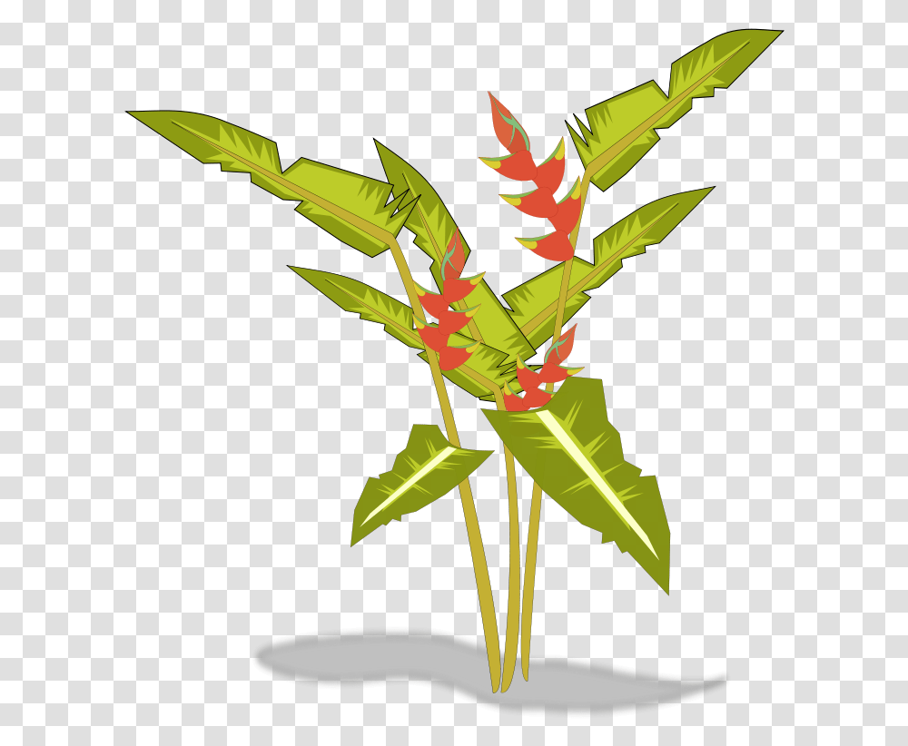 Free To Use Public Domain Plants Clip Art Tropical Plants Clipart, Leaf, Insect, Invertebrate, Animal Transparent Png
