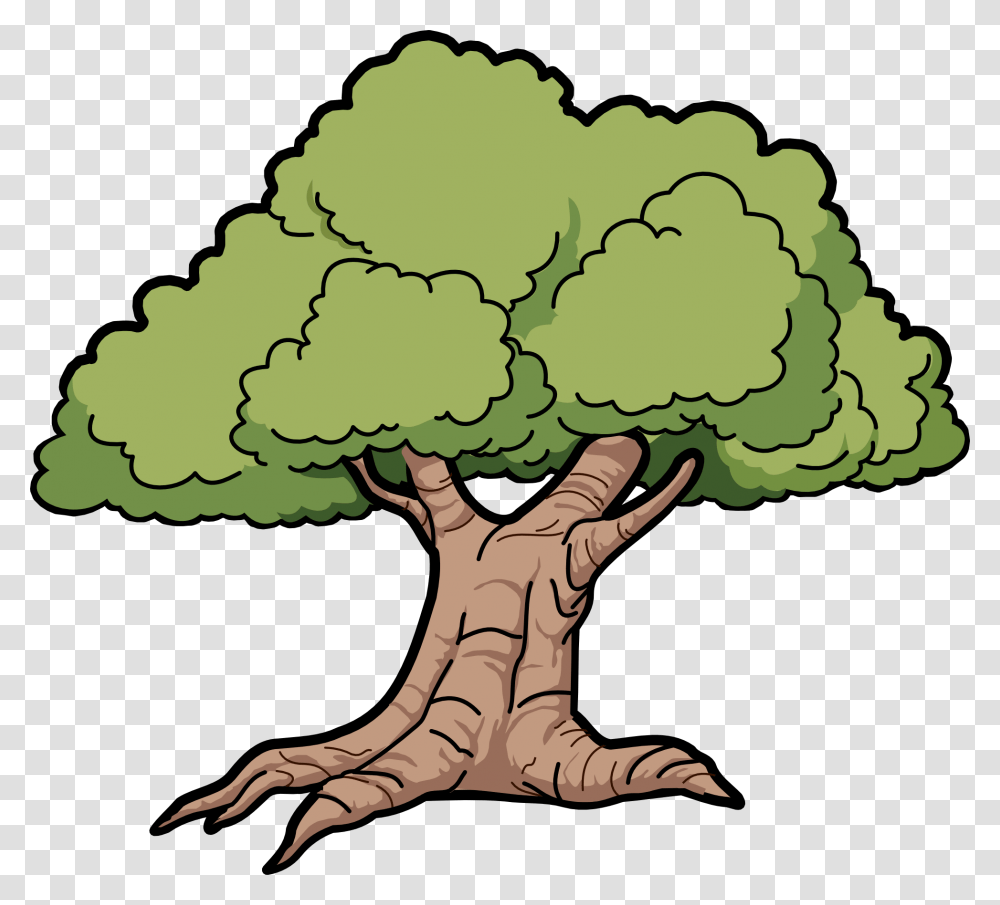 Free To Use Public Oak Tree Clipart, Plant, Vegetable, Food, Cauliflower Transparent Png