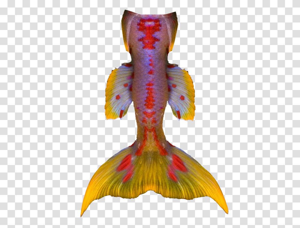 Free To Use Vintage Mermaid Tails Illustration, Bird, Animal, Aquatic, Water Transparent Png