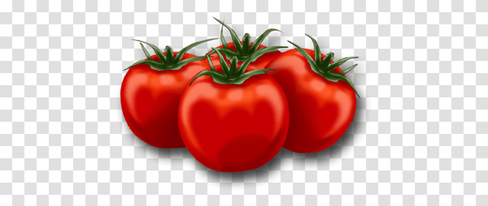 Free Tomato Download Animated Pics Of Tomato, Plant, Vegetable, Food Transparent Png
