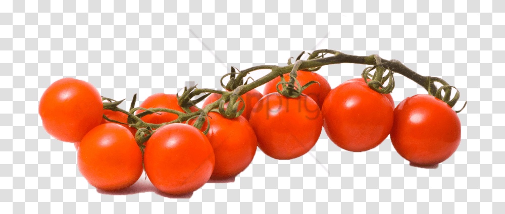 Free Tomato Image With Background, Plant, Vegetable, Food, Produce Transparent Png