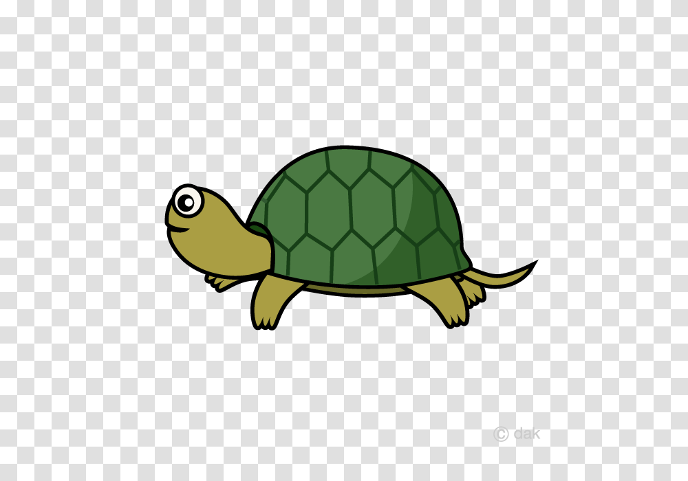 Free Tortoise Seen From The Side Cartoon Clipart, Turtle, Reptile, Sea Life, Animal Transparent Png
